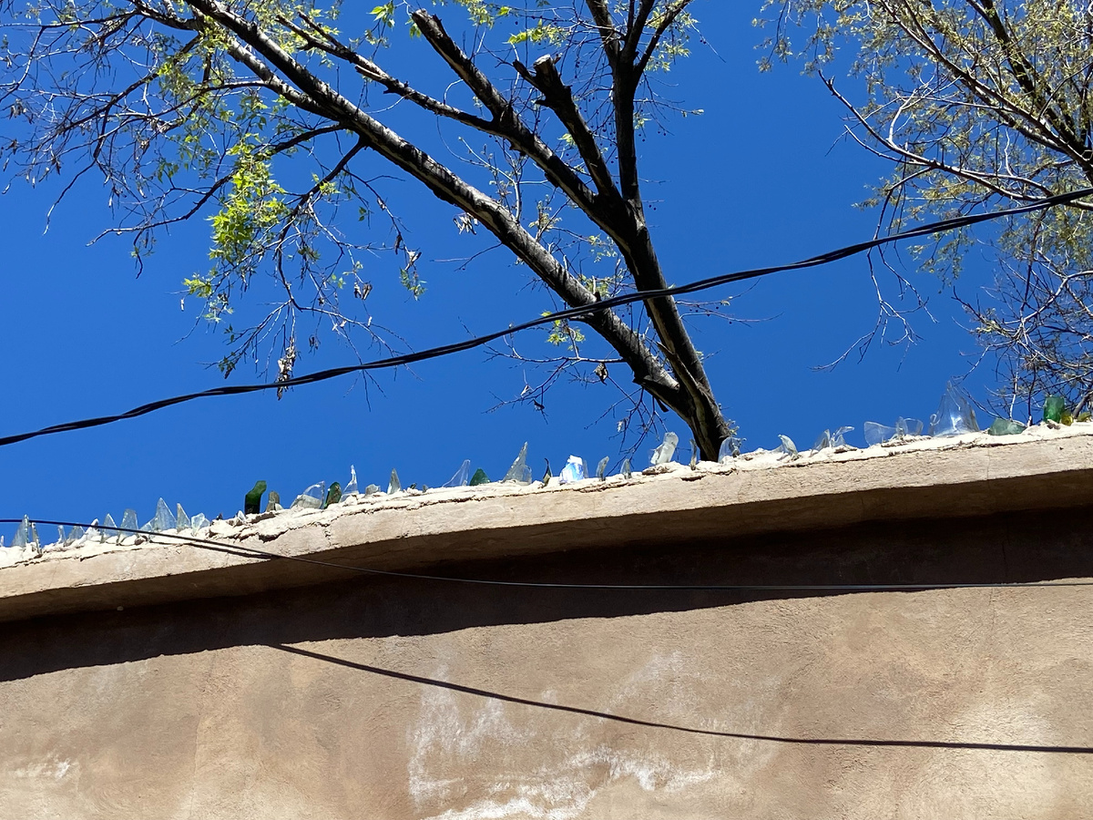 Необычный метод борьбы с голубями в Марокко