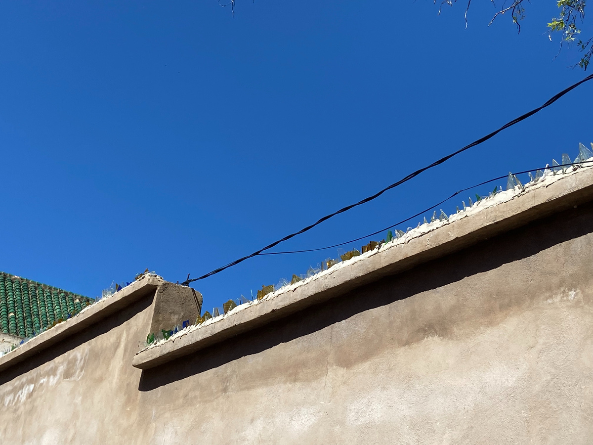 Необычный метод борьбы с голубями в Марокко