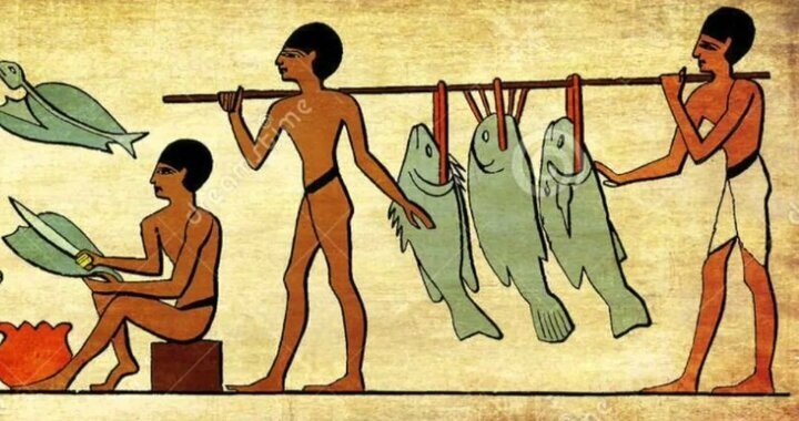 Из свободного доступа