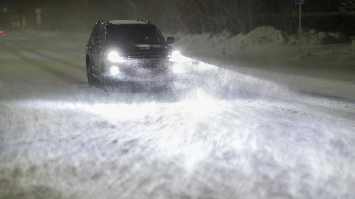    Фото: Федор Воронов/«Ямал-Медиа»