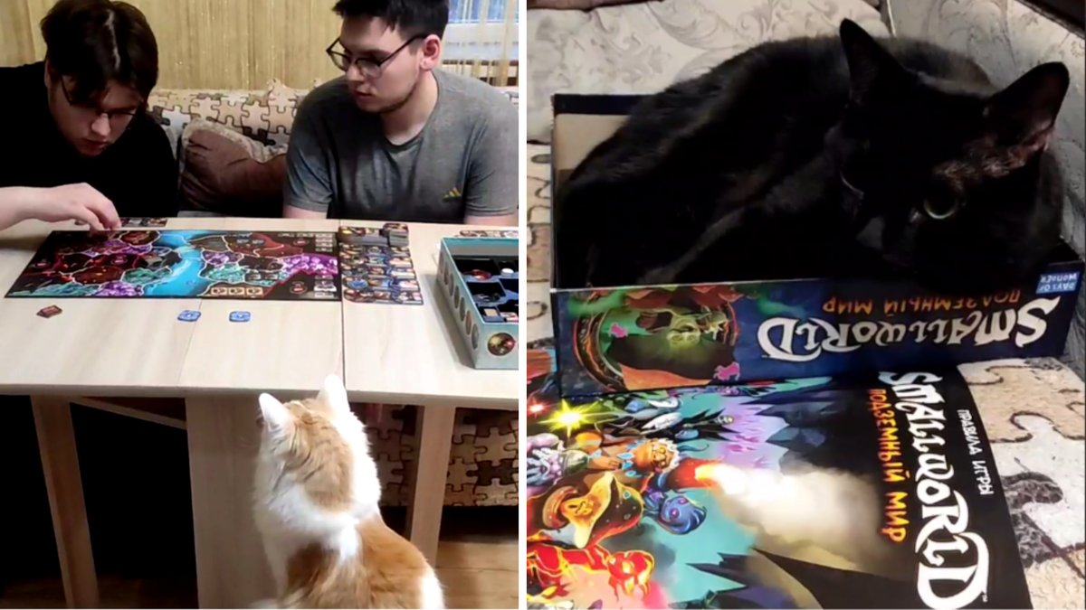 Происходит что-то странное, но мы докопаемся до сути😼