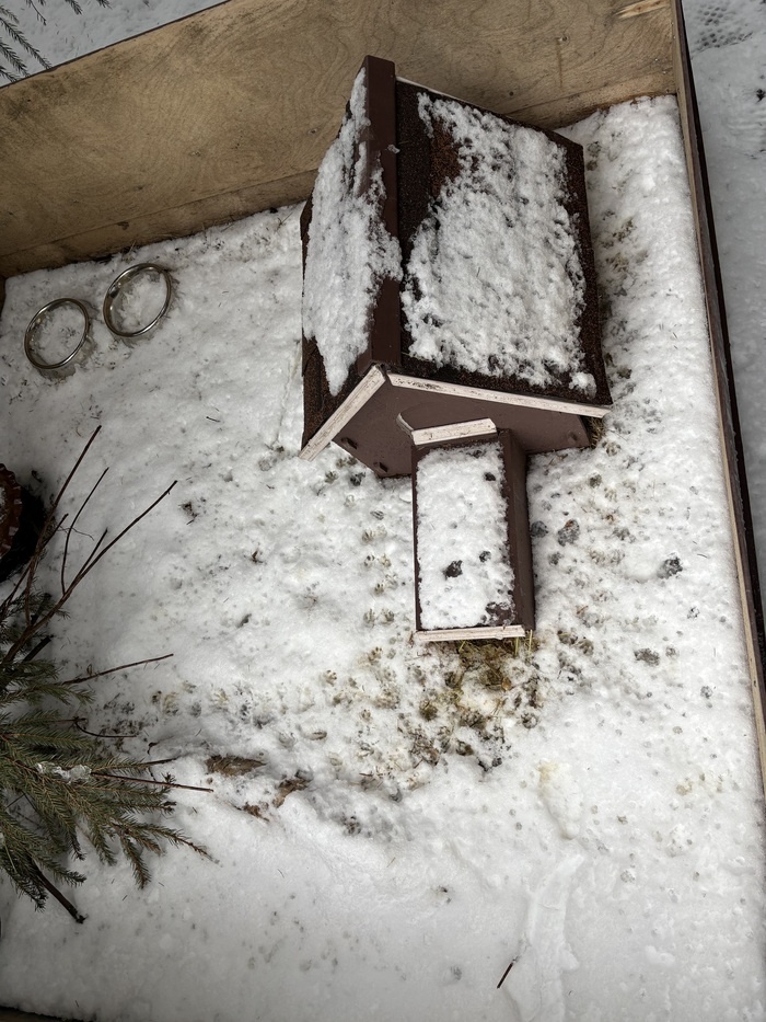 Листайте вправо, чтобы увидеть больше изображений