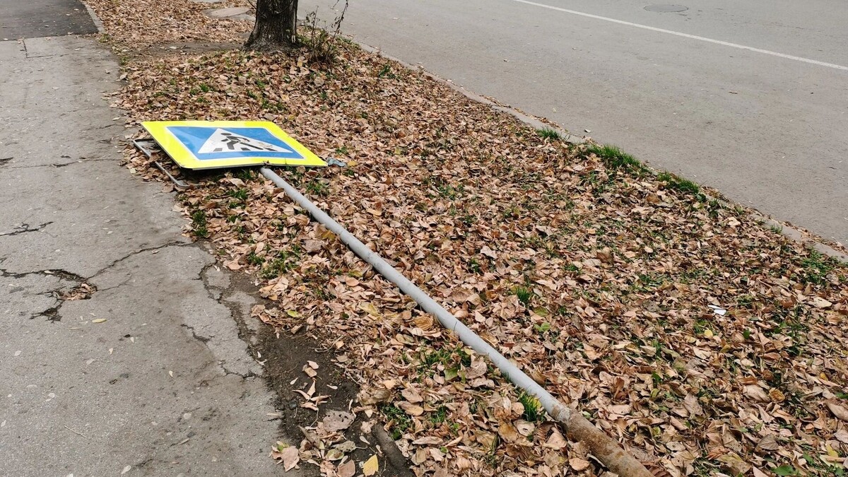     Автор: Эмилия Губарева Источник: atas.info