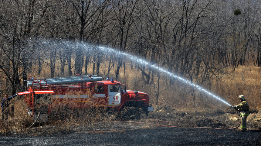   Фото: © РИА Новости/Виталий Аньков