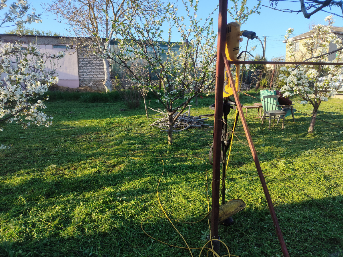 И сад тоже практически чист