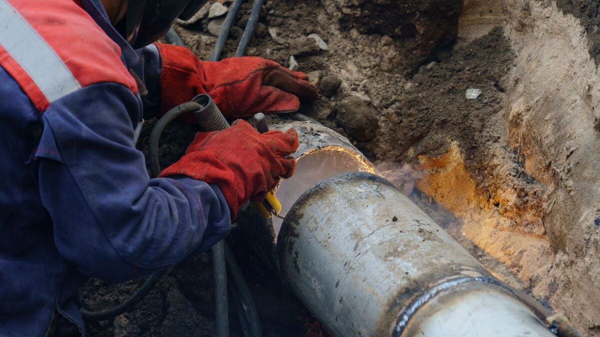    Фото: DimaBerlin/Shutterstock/Fotodom