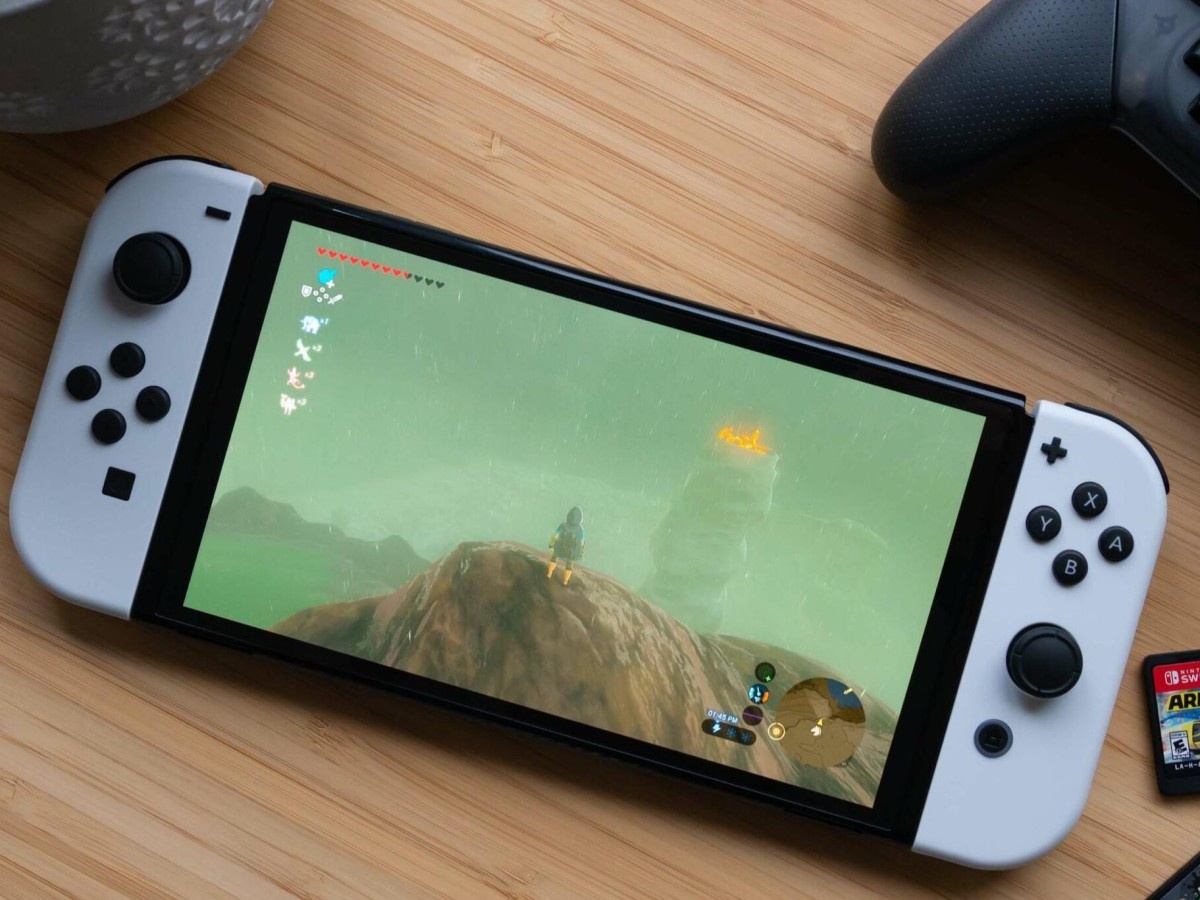    58-летний японец получил условный срок за моддинг Nintendo Switch
