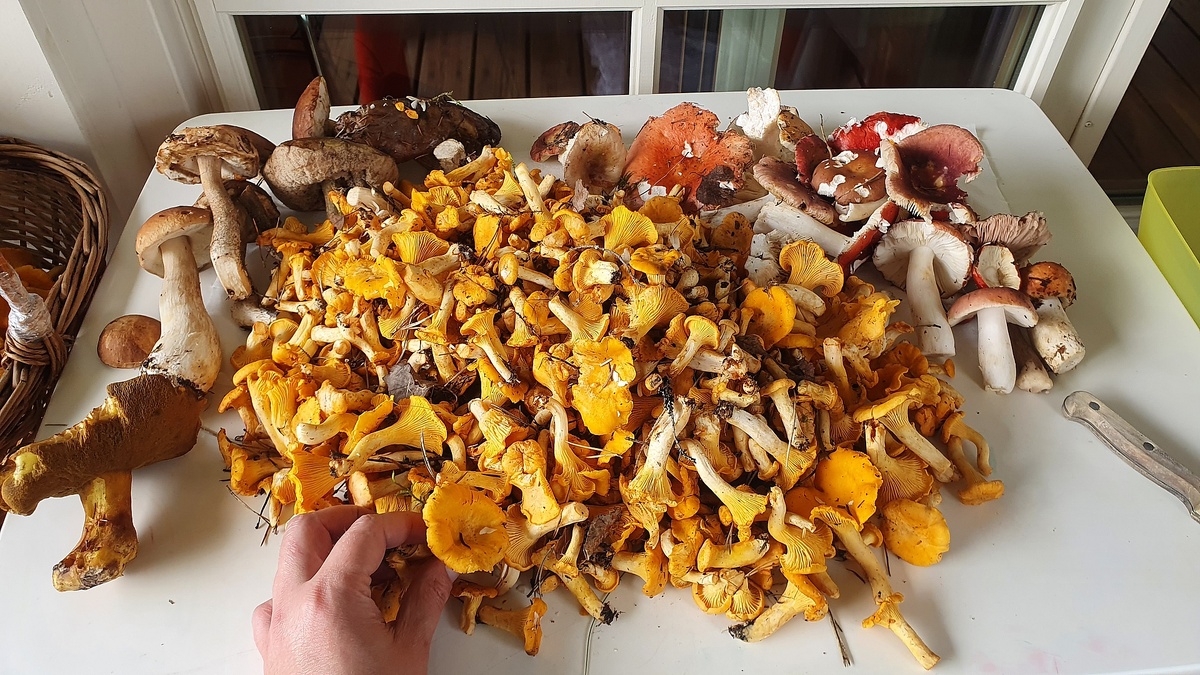 Архивное фото автора