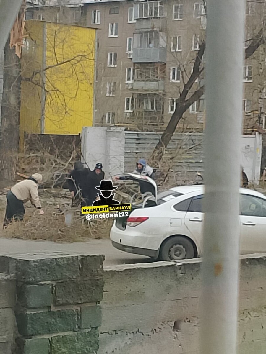    Упавшее дерево на Петра Сухова. Источник: Инцидент Барнаул