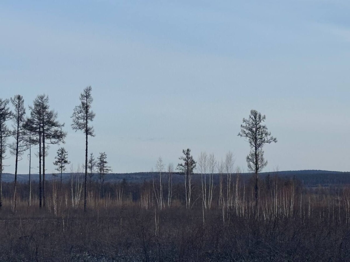    Фото: Пресс-служба правительства Забайкалья