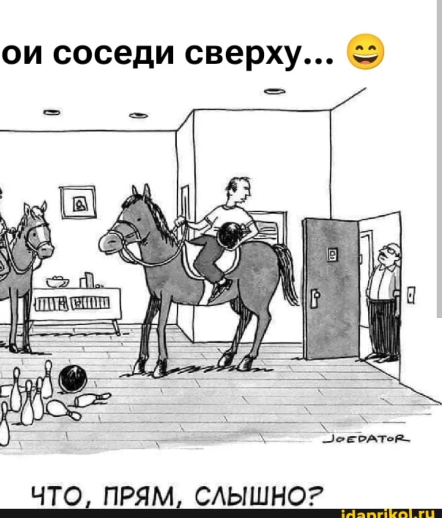 Картинка из интернета 