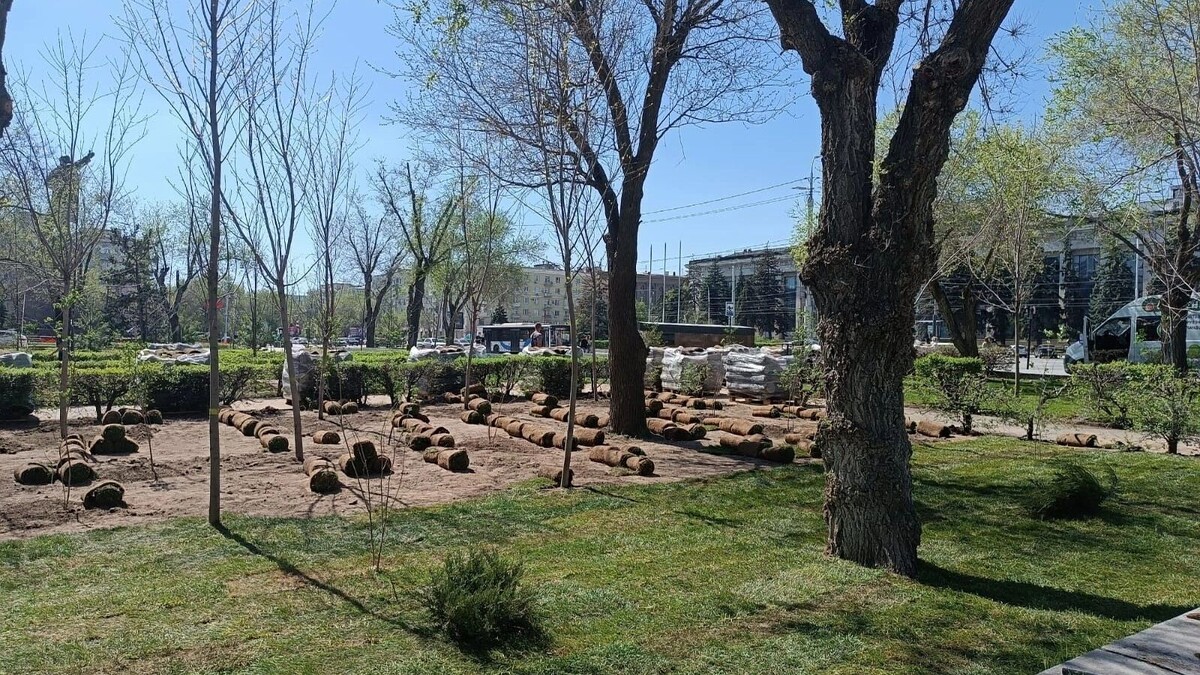     Источник: novostivolgograda.ru