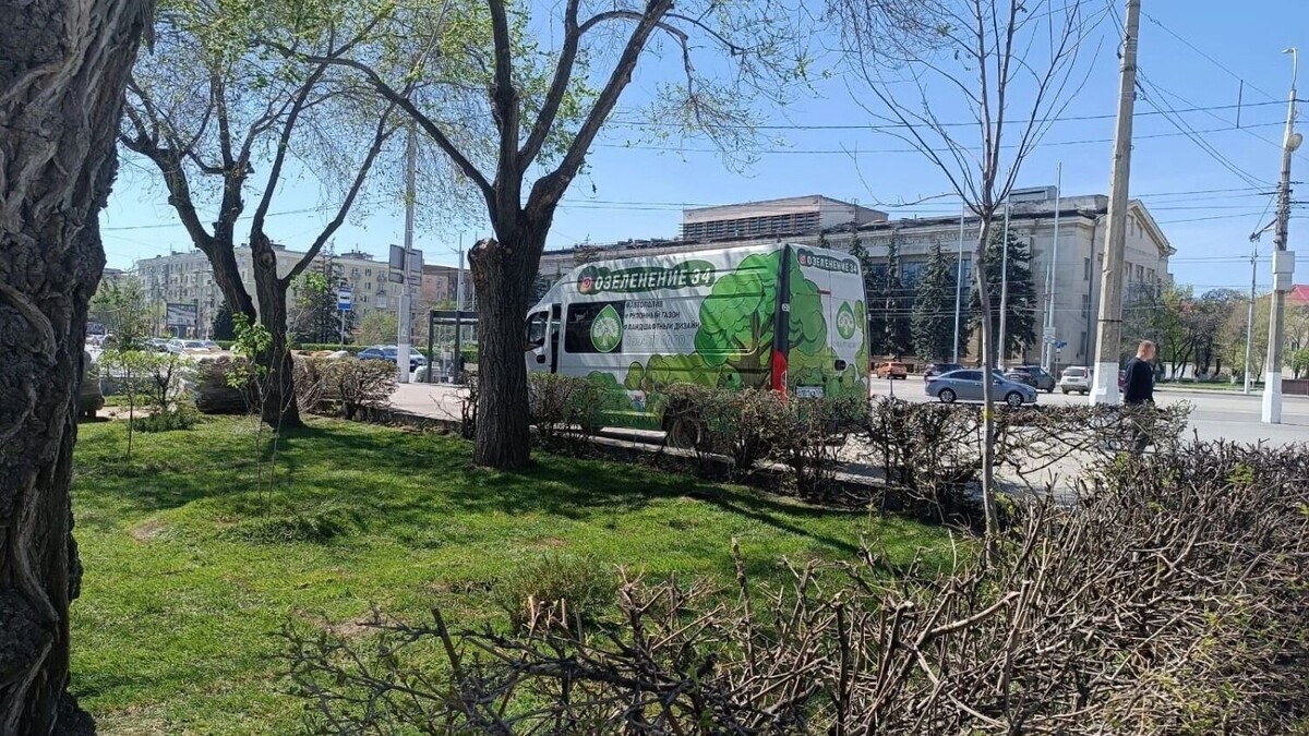     Источник: novostivolgograda.ru