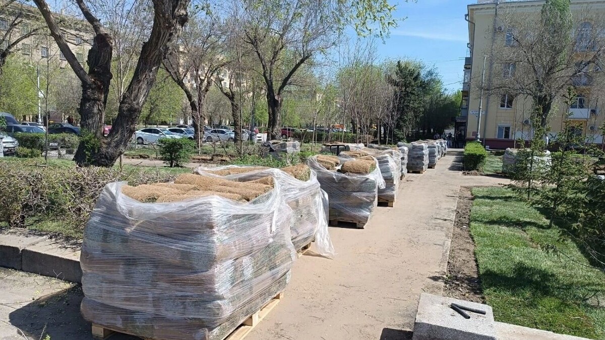     Источник: novostivolgograda.ru