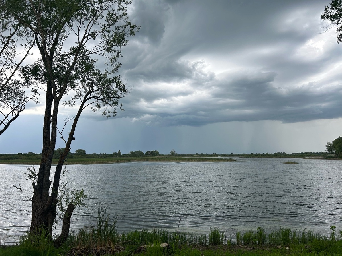    Фото: архив progorod