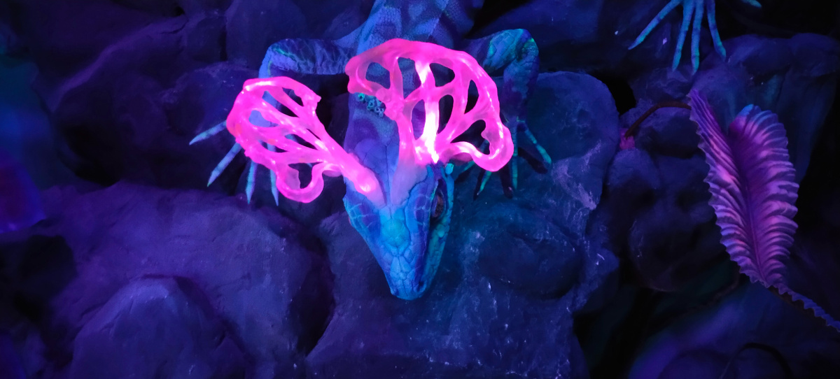 Фото автора канала