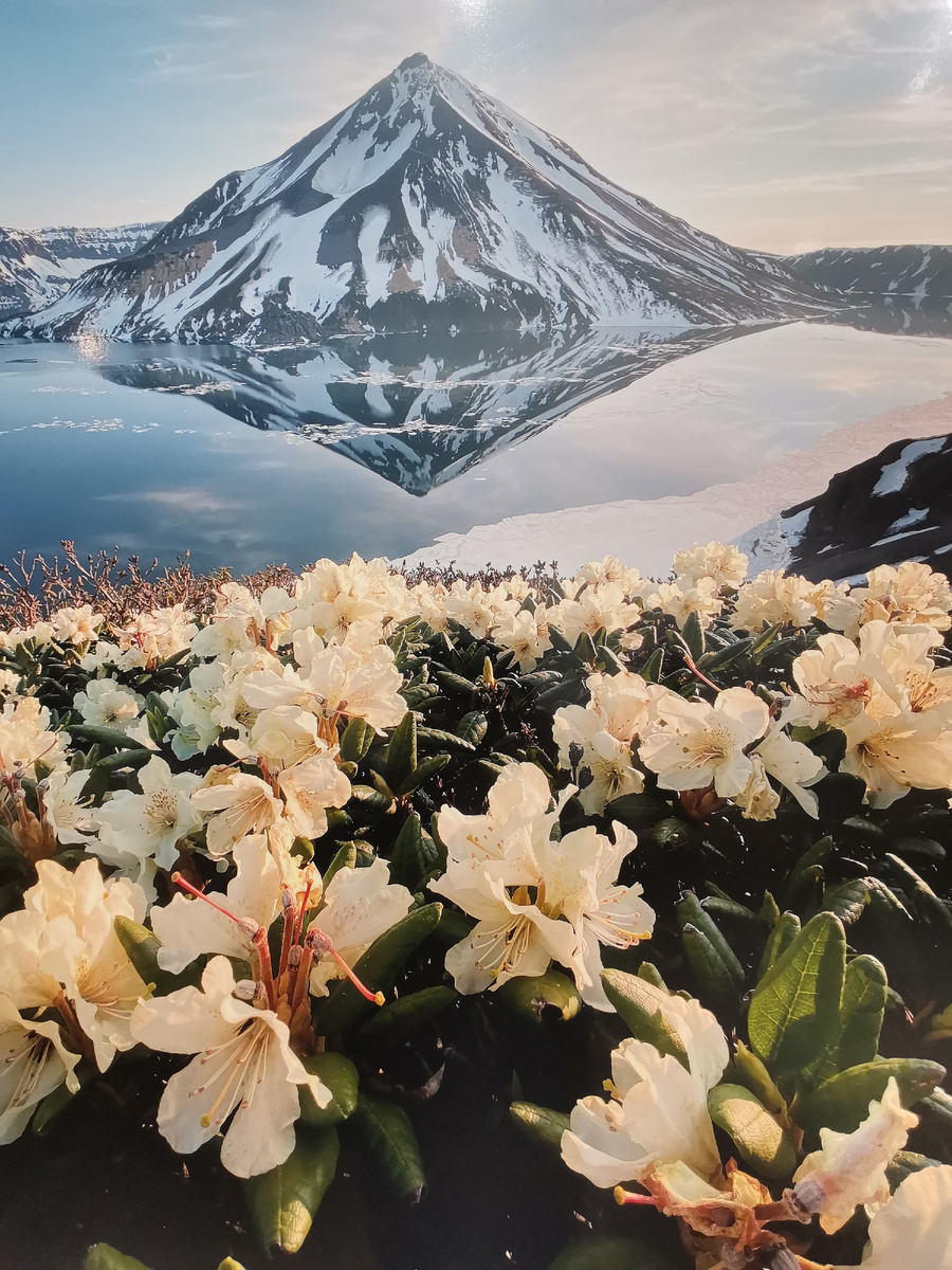 Мир изобилен. Деньги только мизерная часть этого мира. Всего всегда довольно. Знать полезно!