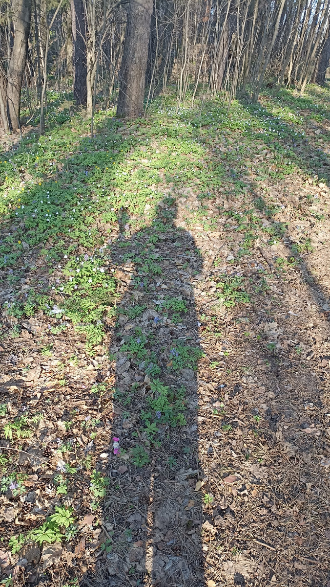 Я позирую 😁