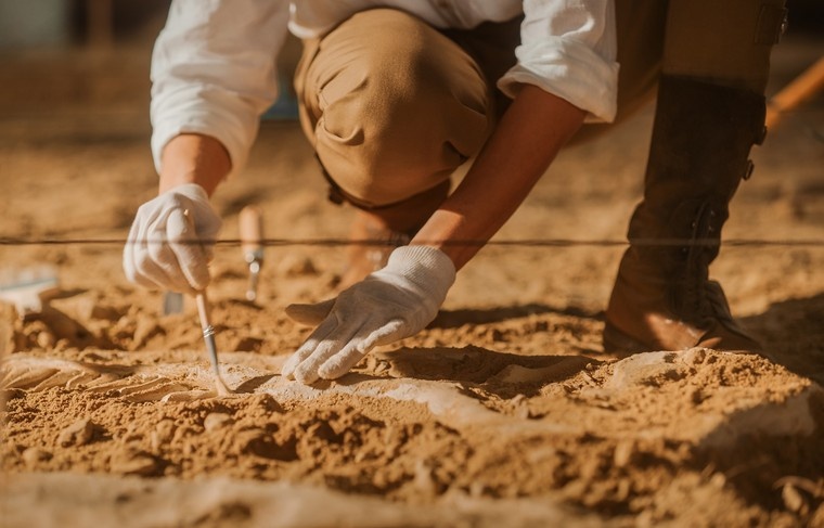    Shutterstock/FOTODOM