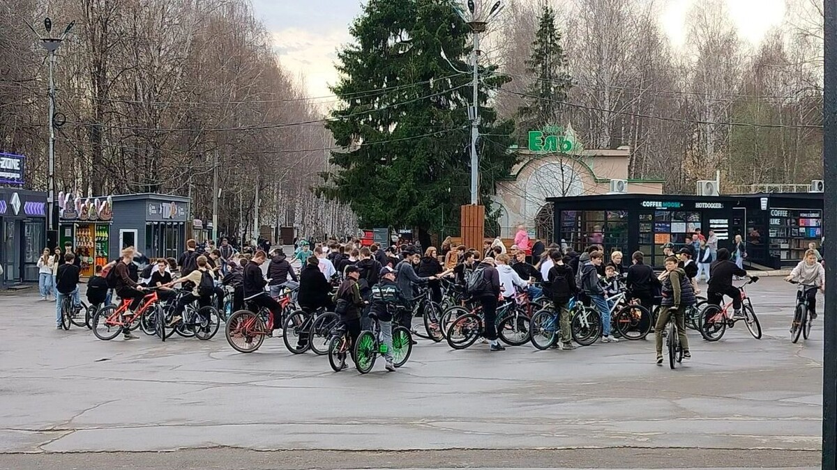     Источник: udm-info.ru