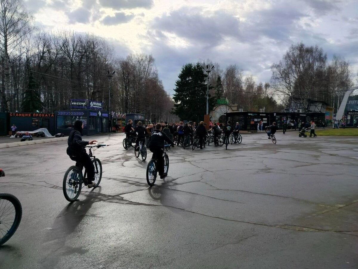     Источник: udm-info.ru