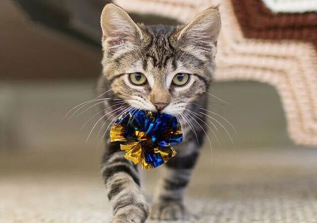 Фото из Интернета.