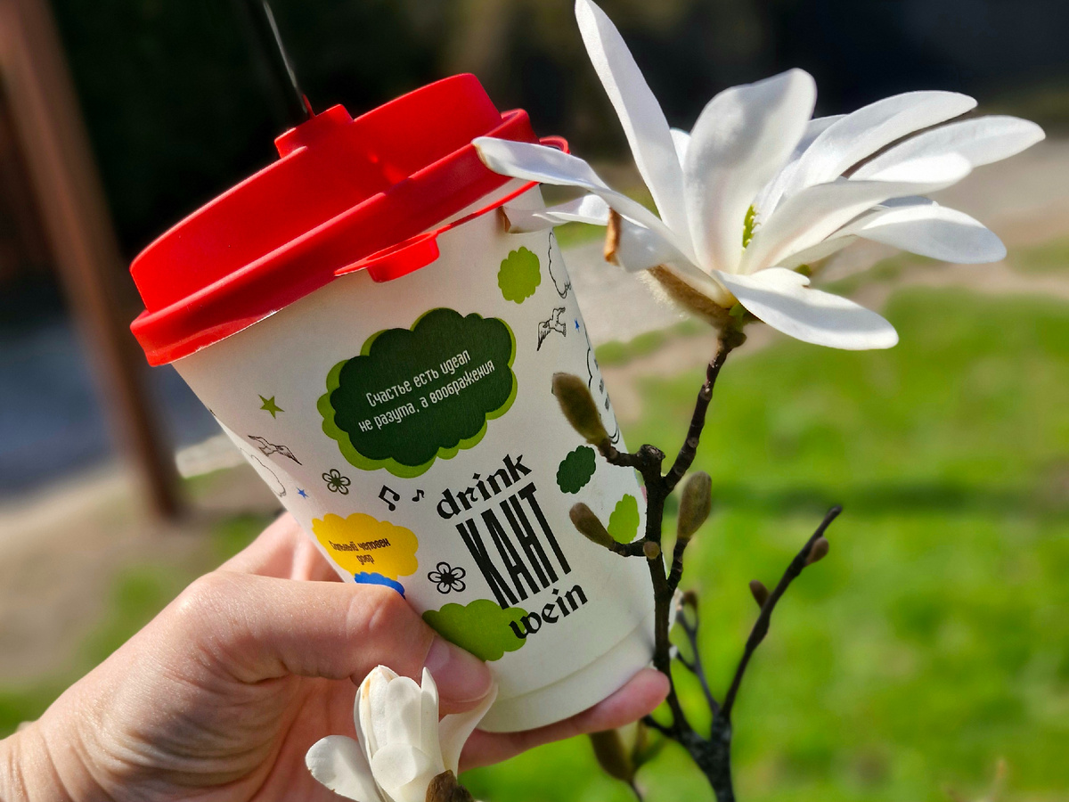 Кантвейн на острове Канта 😉 и цветущая магнолия