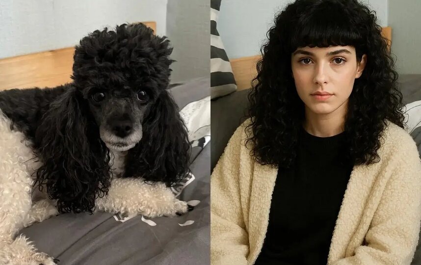    Пудель Зима и её человеческое воплощение. Из личного архива / ChatGPT