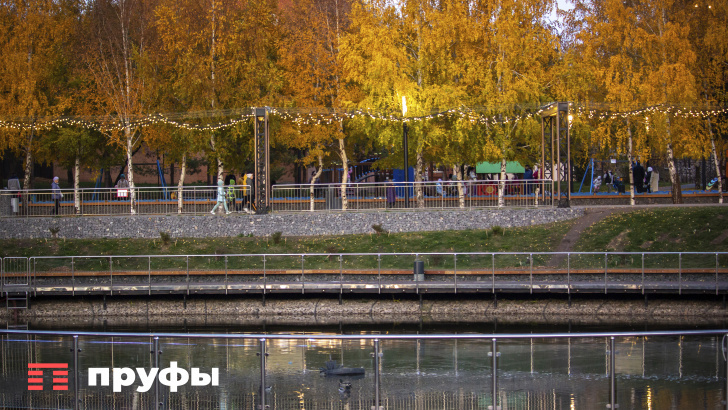    Фото: Пруфы