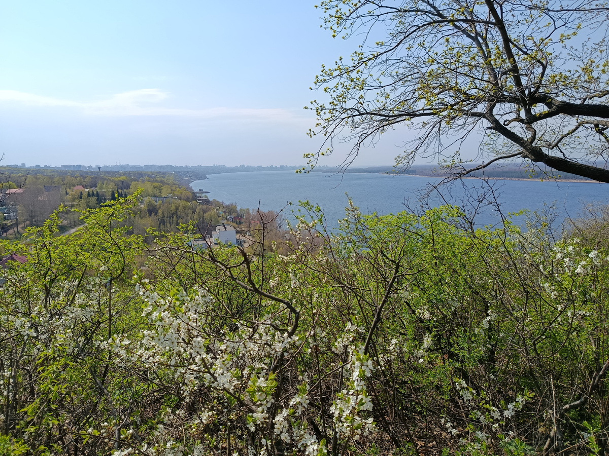 Вид с горы. Все последующие фото в статье сделаны автором 20.04.2025 г.