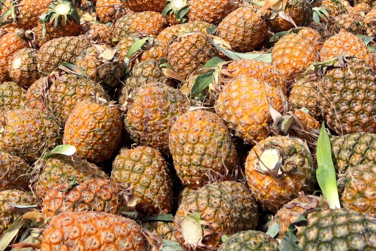     / Источник: © Global Look Press