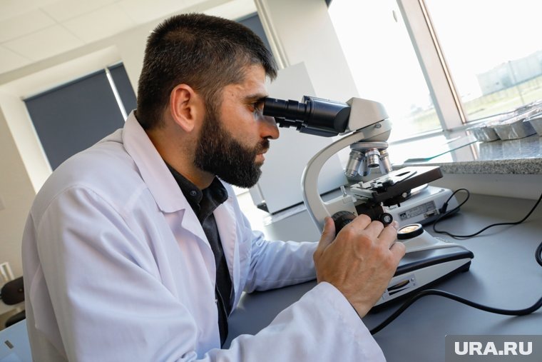    Ученые открыли цвет в ходе эксперимента