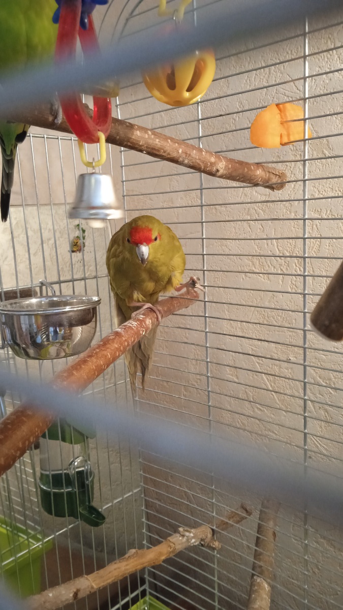 Примерно так)) 