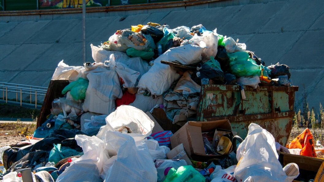    Светлана Возмилова/Global Look Press