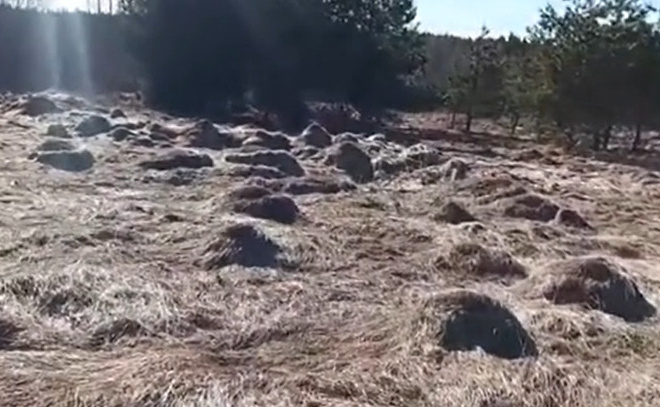    © дирекция ООПТ Ленобласти