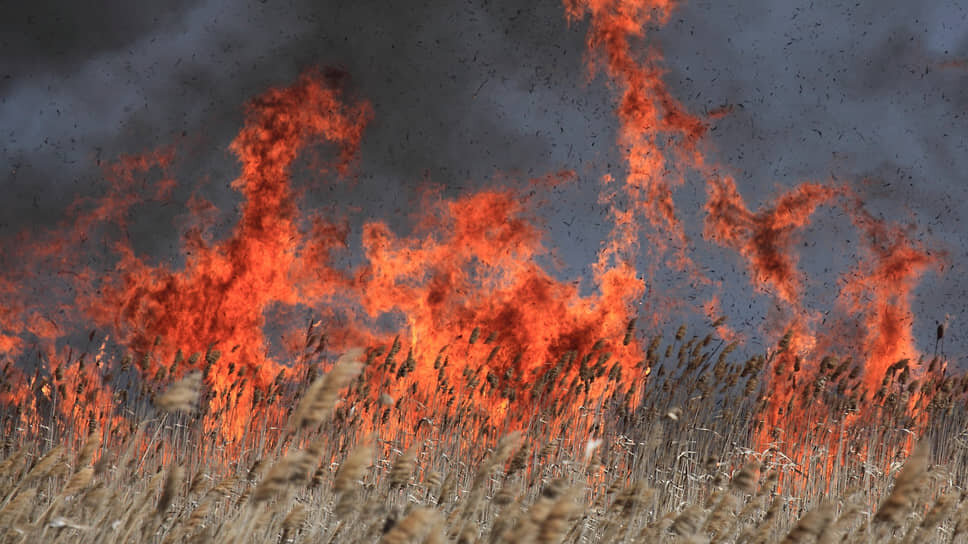 Фото: Андрей Коршунов / Коммерсантъ