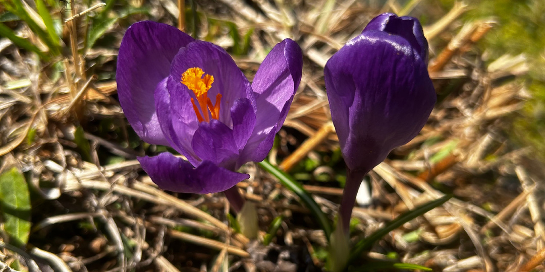 Безусловная любовь