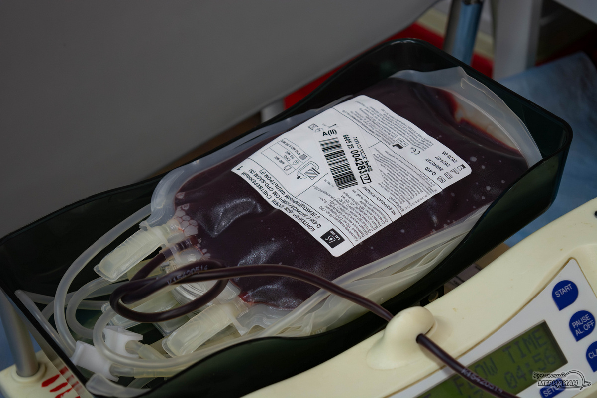    Фото: Галина Ниценкова © ИА «Уральский меридиан»