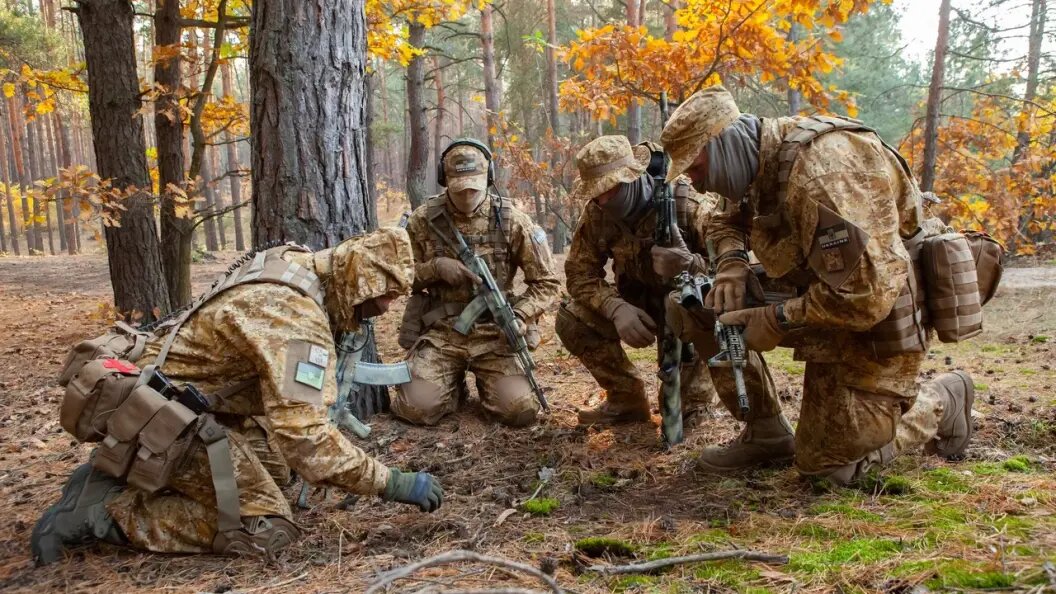    Фото: Shutterstock