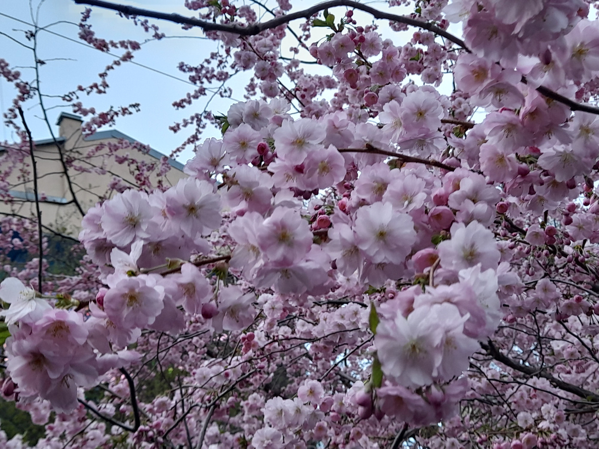Все фотографии автора статьи.