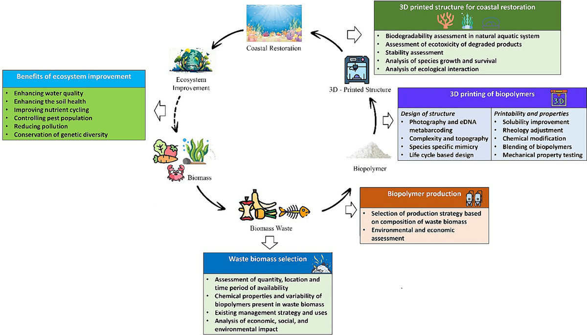 Рис. 1 – Схема использования биополимеров для восстановления рифов