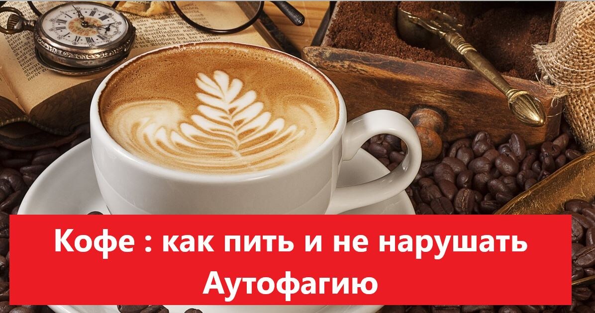Кофе : как пить и не нарушать Аутофагию.