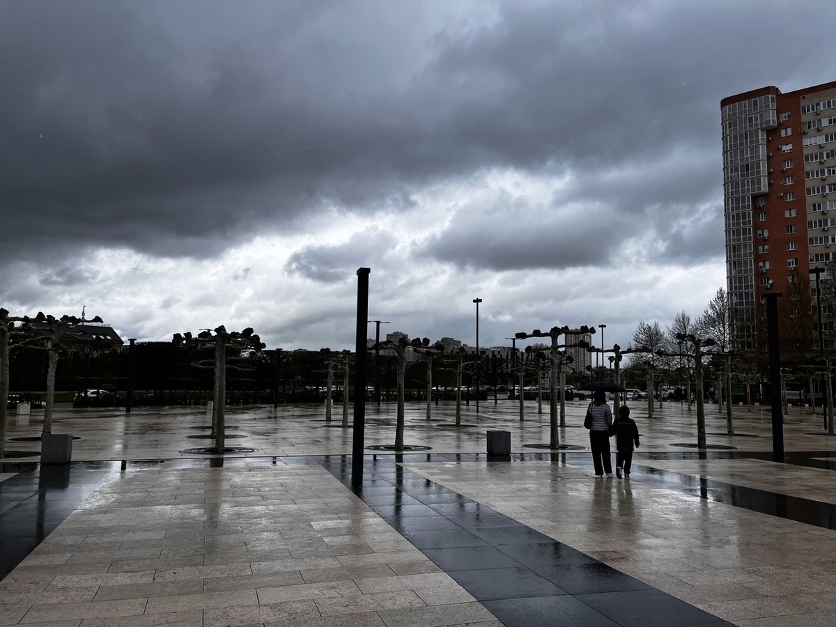 Начало парка, инопланетные деревья в виде фонарей.