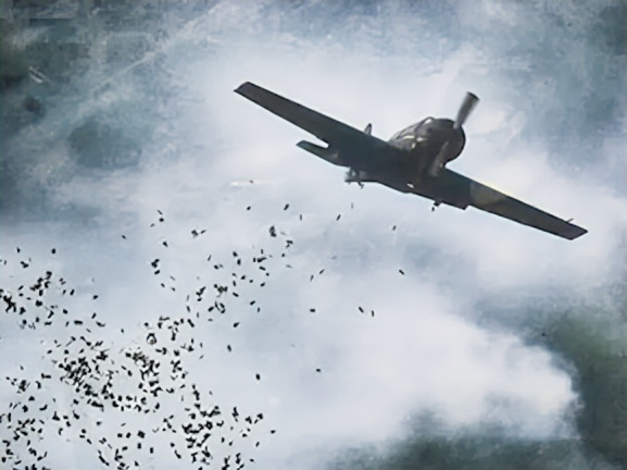 Фото из интернета для иллюстрации и к делу не относится.