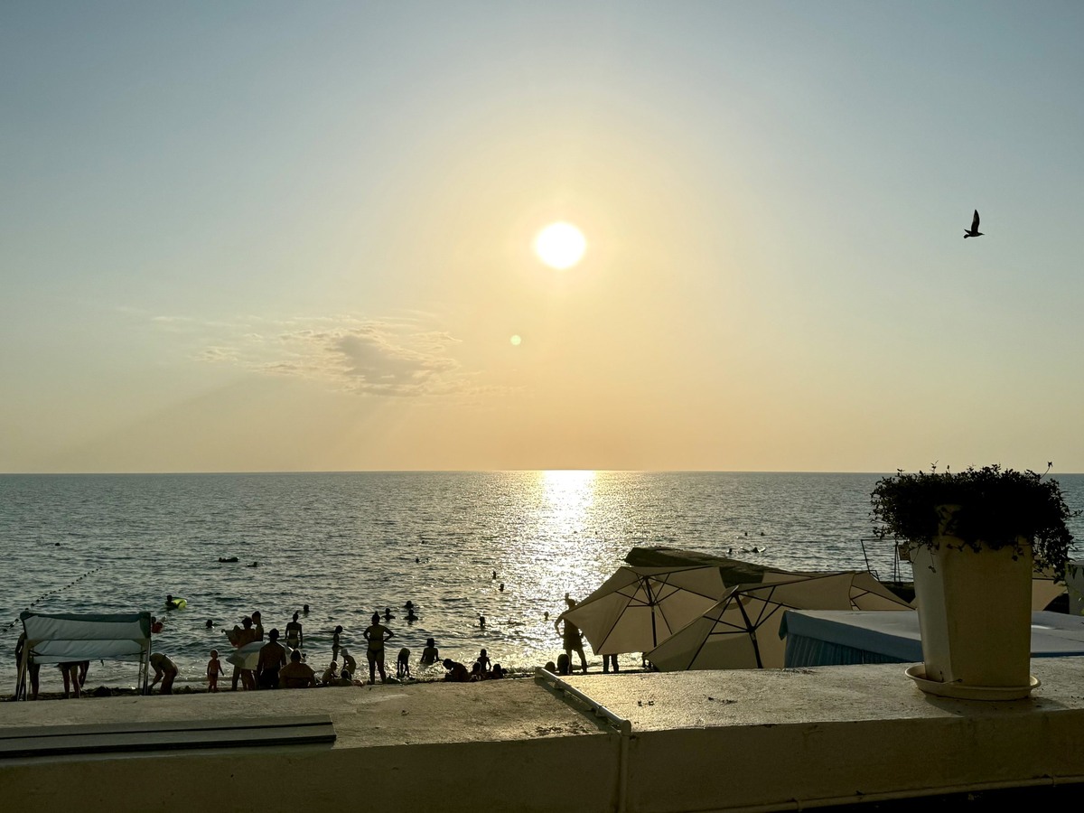    Фото: Сочи 24