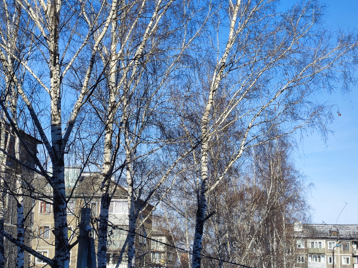 Вот такое было ранее утро! 