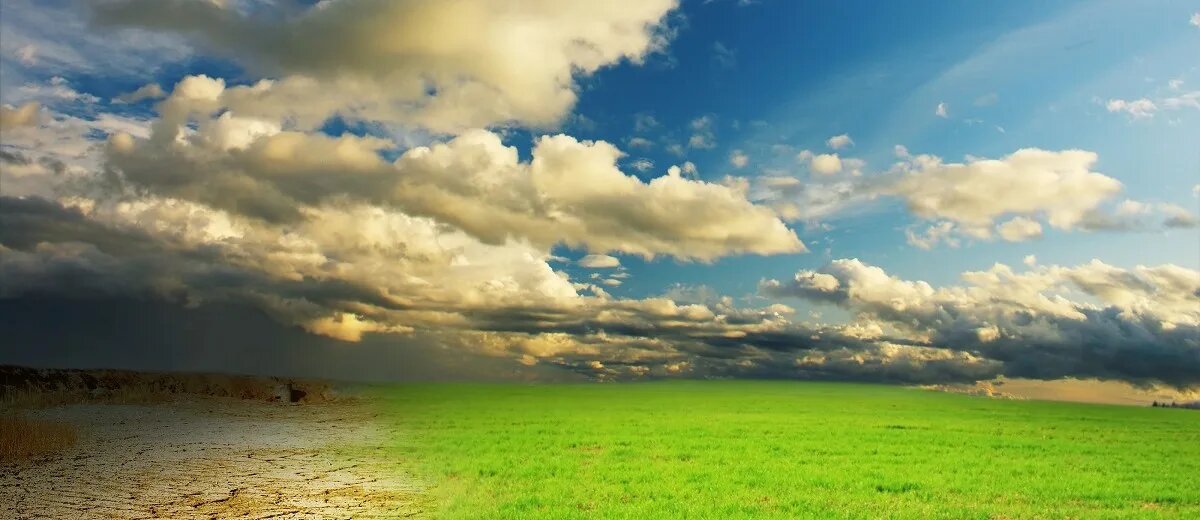 фото из яндекса