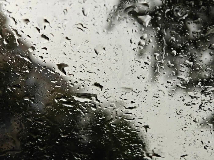    Фото: Юрий Серебренников/BFM Кубань