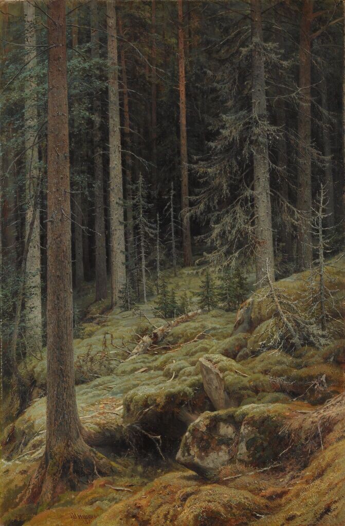 Иван Шишкин. Дебри. 1881. Холст, масло.
