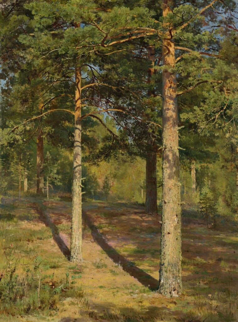 Иван Шишкин. Сосны, освещенные солнцем. 1886. Холст, масло.

